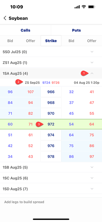option_sheet_display.png